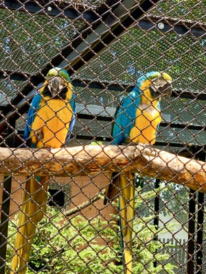 Tierpark Hirschfeld