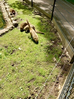Tierpark Hirschfeld