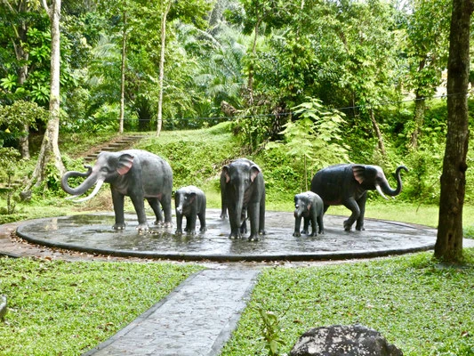 Pung Chang Cave, Phang- Nga