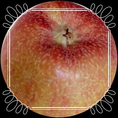Apfel