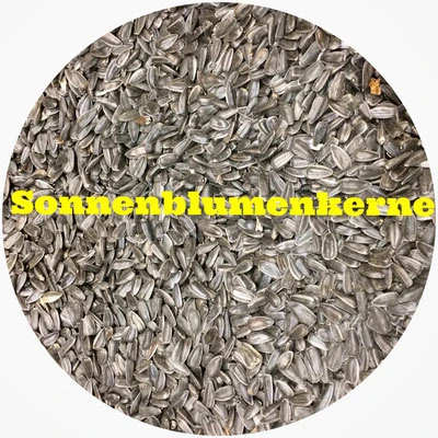 Sonnenblumenkerne 
