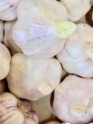 Bulgarien, kochen mit Knoblauch