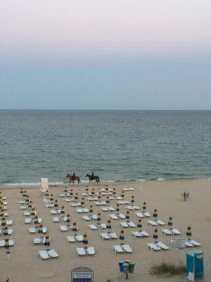 Strand, Meer und Pferde