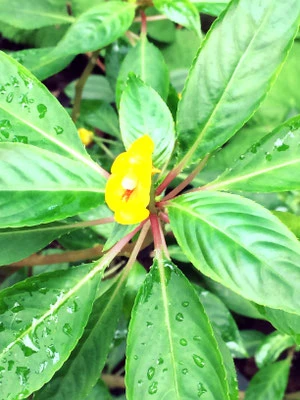Natureindrücke