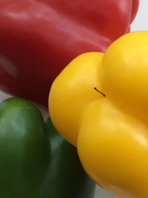 Paprika