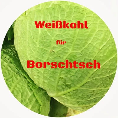 Weißkohl für Borschtsch