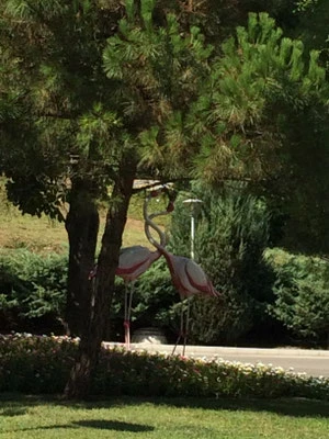 In den Grünanlagen vor dem Hotel Flamingo Grand