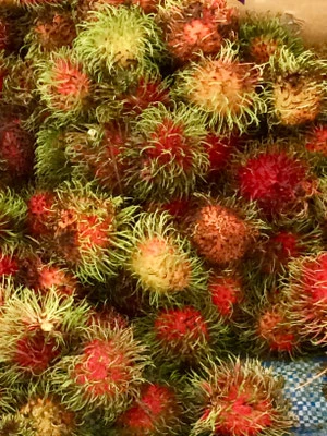 tropische Früchte, Rambutan