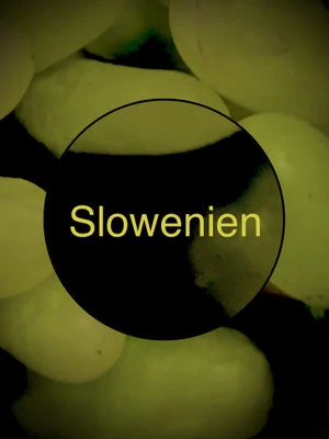 Slowenien, Weinstraße
