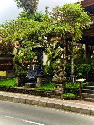 Straße zum Monkey Forest