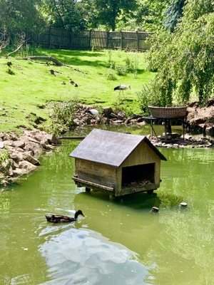 Tierpark Hirschfeld