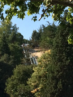 Rolltreppen in die Natur