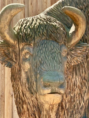 Tierpark Hirschfeld