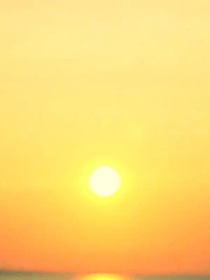 Sonne pur