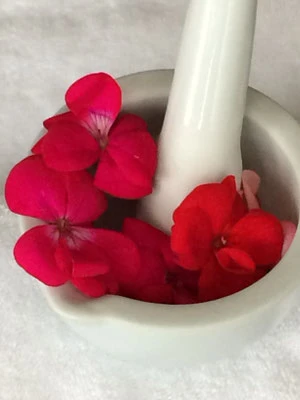 Wellness und Erholung