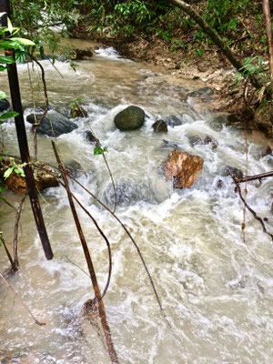 Khao-Sok-Nationalpark