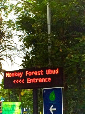 Eingang Monkey Forest