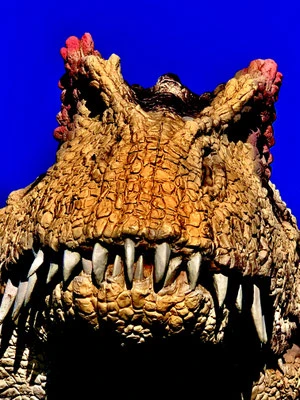 Dinosaurierpark Galerie Harfa