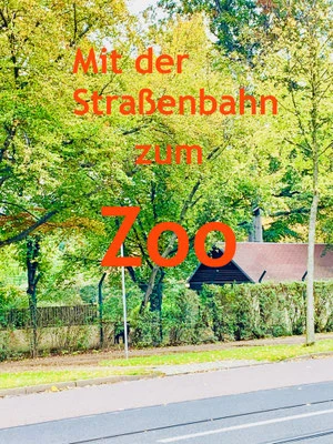 Zoo in Dresden