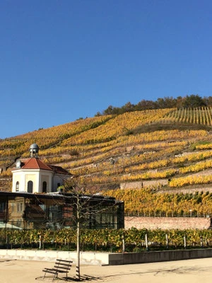 Schloss Wackerbarth