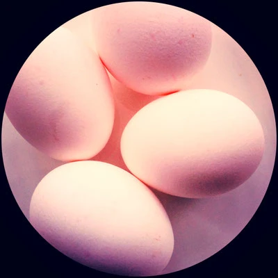 Eier
