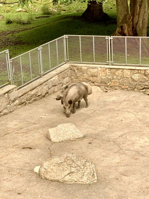 Tierpark Hirschfeld