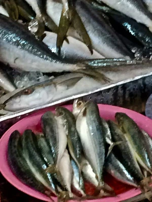 Fisch