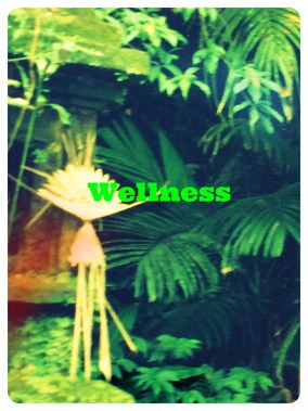 Wellness