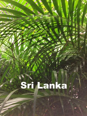 Sri Lanka