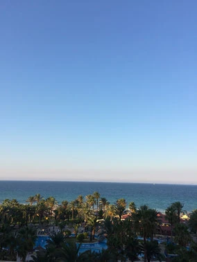 Tunesien, Palmen und Meer
