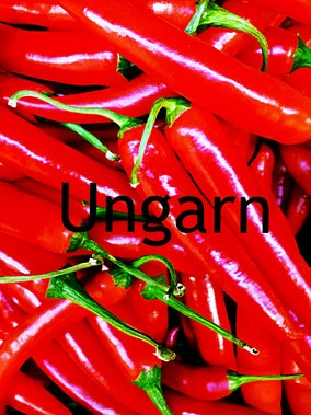 Ungarn