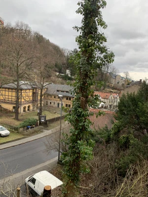Blick aus der Standseilbahn