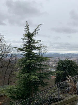 Panoramablick auf das Dresdner Elbtal