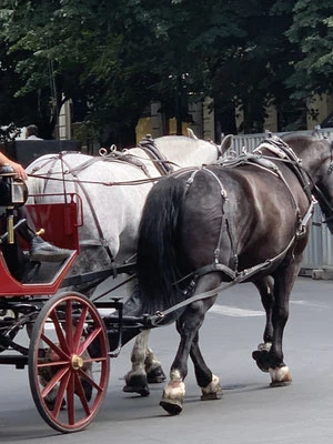 Kutschfahrt durch Prag